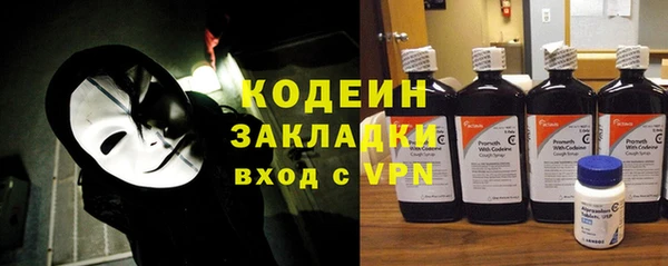 твердый Лагань