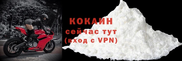 твердый Лагань
