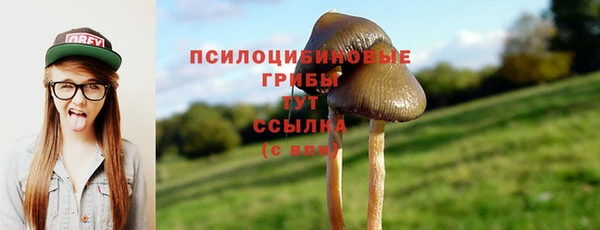 твердый Лагань