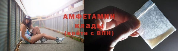твердый Лагань