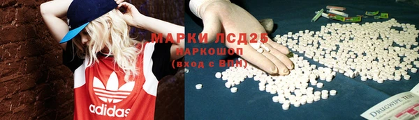 твердый Лагань